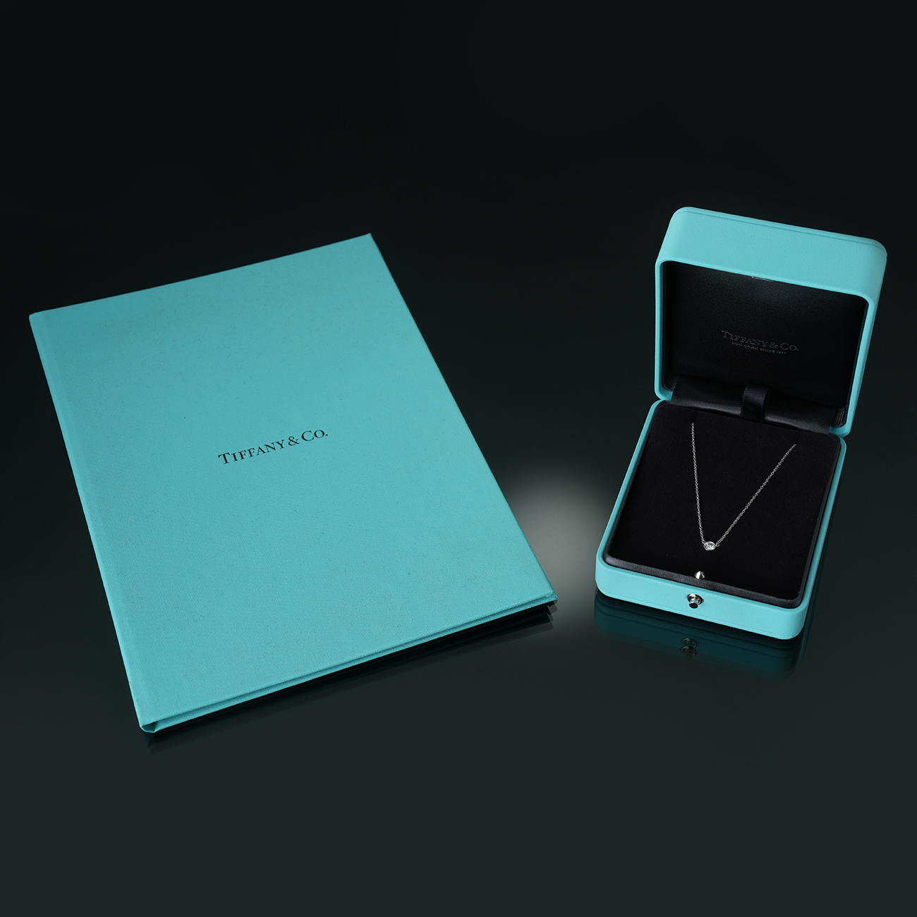 TIFFANY&CO(USED)티파니앤코 0.2CT 다이아 네크리스