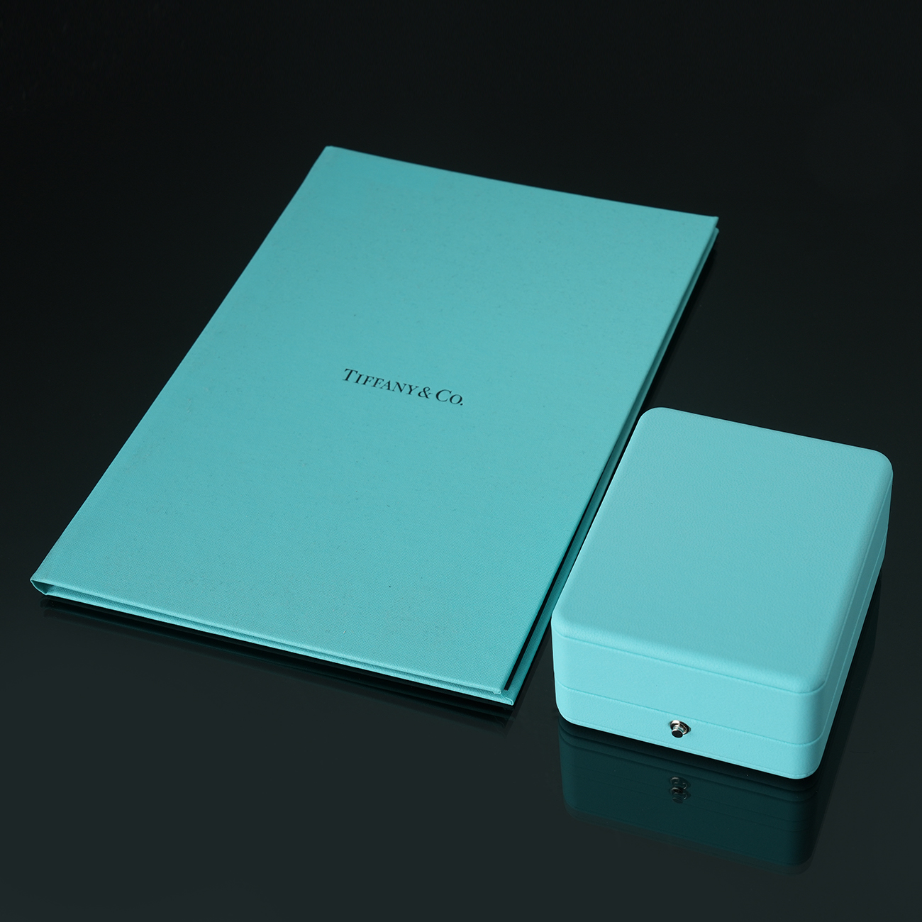 TIFFANY&CO(USED)티파니앤코 0.2CT 다이아 네크리스