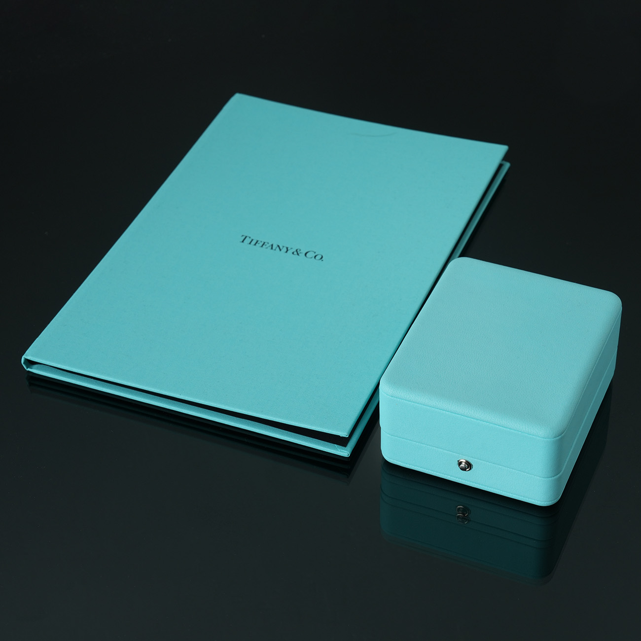 TIFFANY&CO(USED)티파니앤코 다이아 T 와이어 브레이슬릿