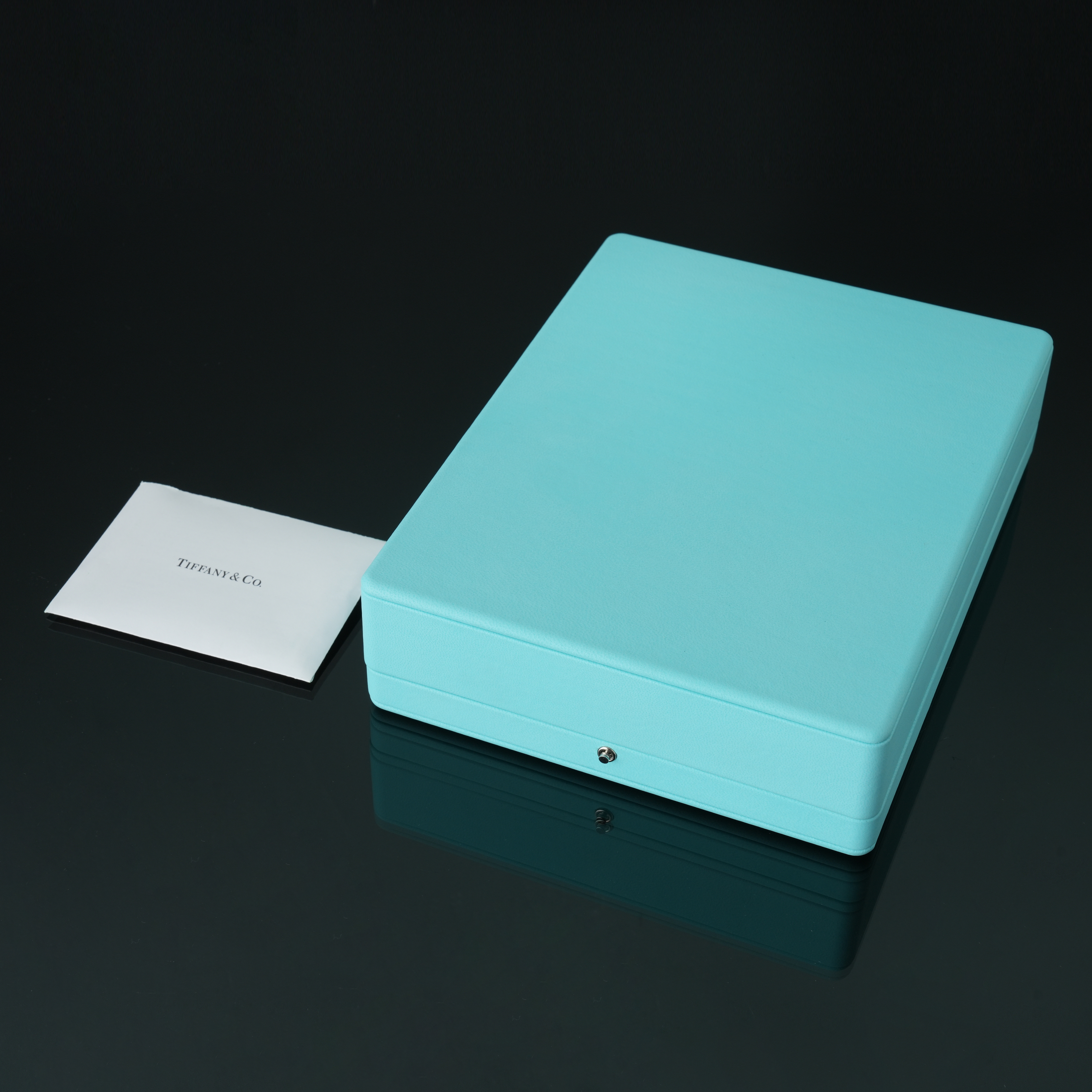 TIFFANY&CO(USED)티파니 링크 네크리스