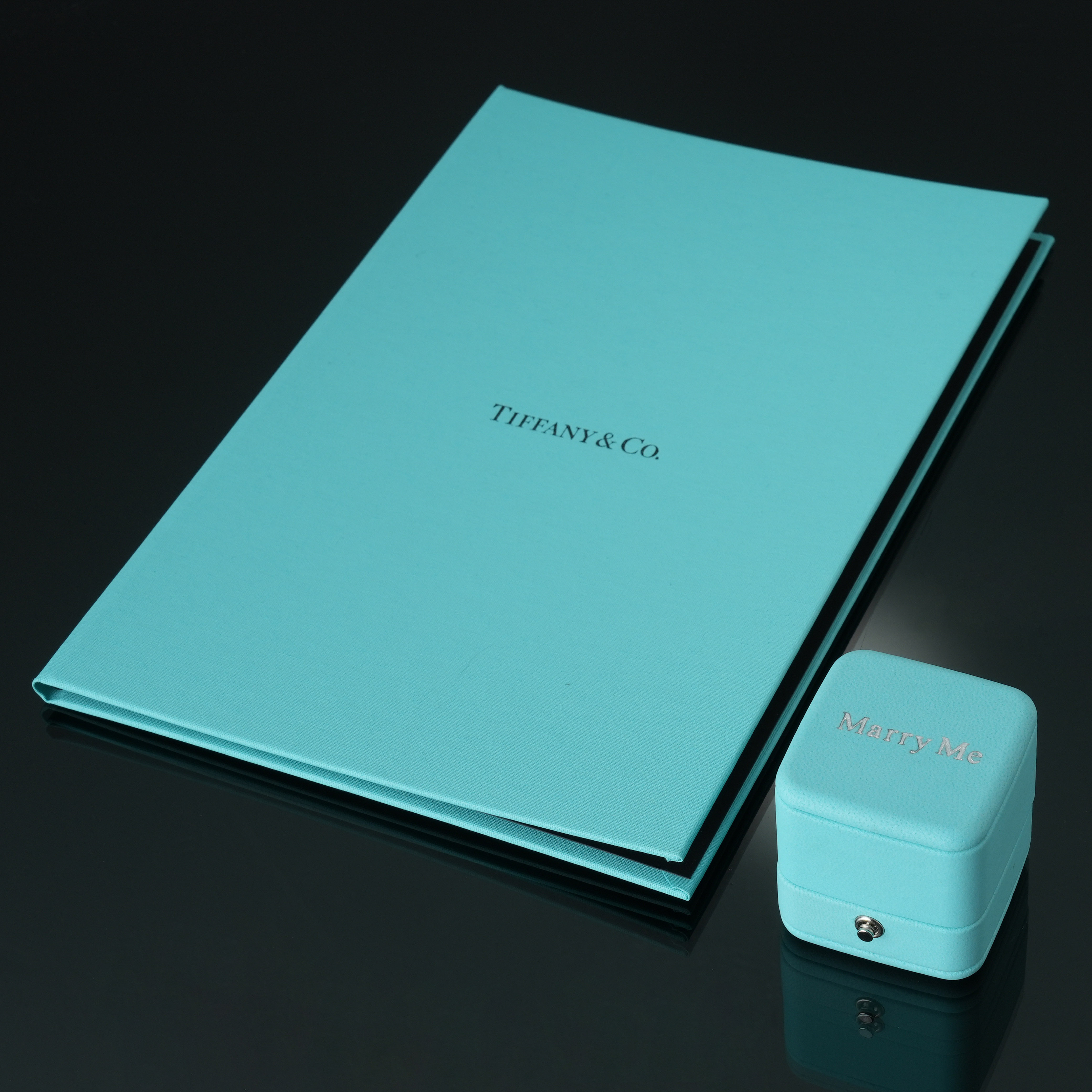 TIFFANY&CO(USED)티파니앤코 다이아몬드 링 #11