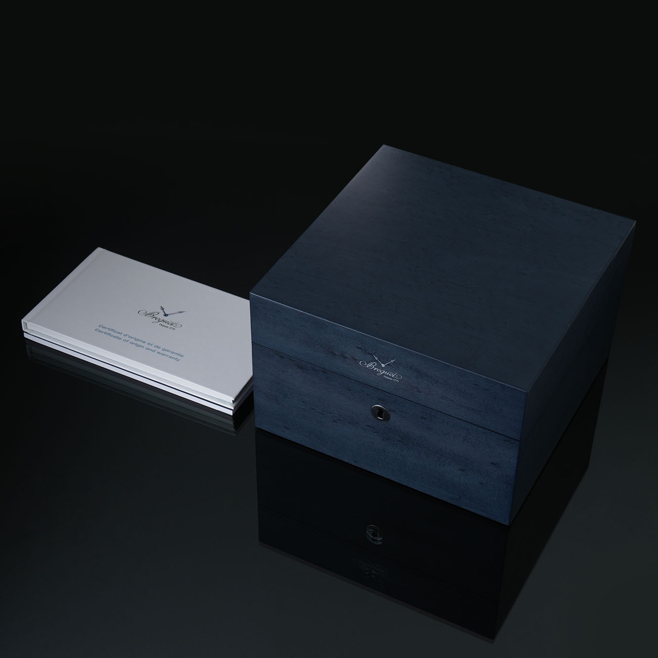 Breguet(USED)브레게 마린 5517 티타늄