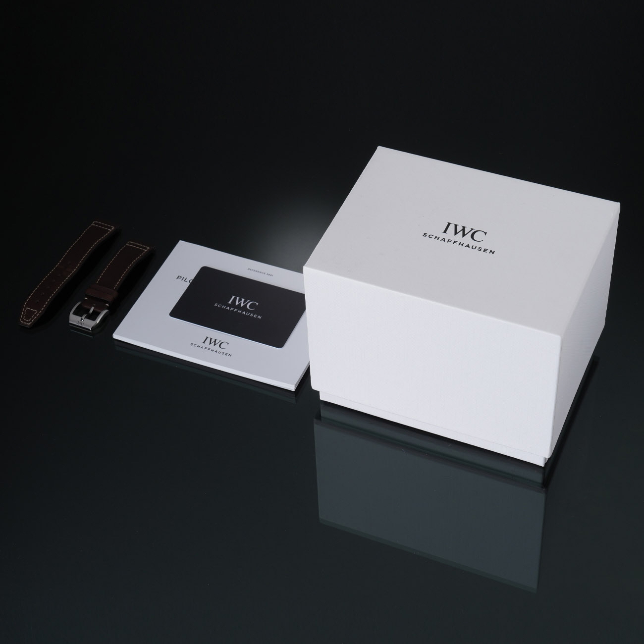IWC(USED)IWC 파일럿 크르노 IW388104