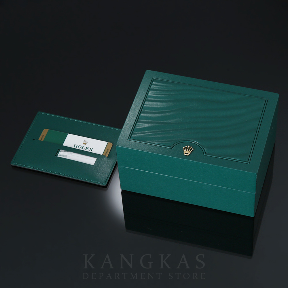 ROLEX(USED)로렉스 데이저스트 179160